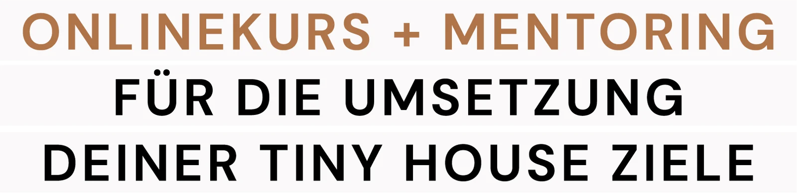 TinyUniversity